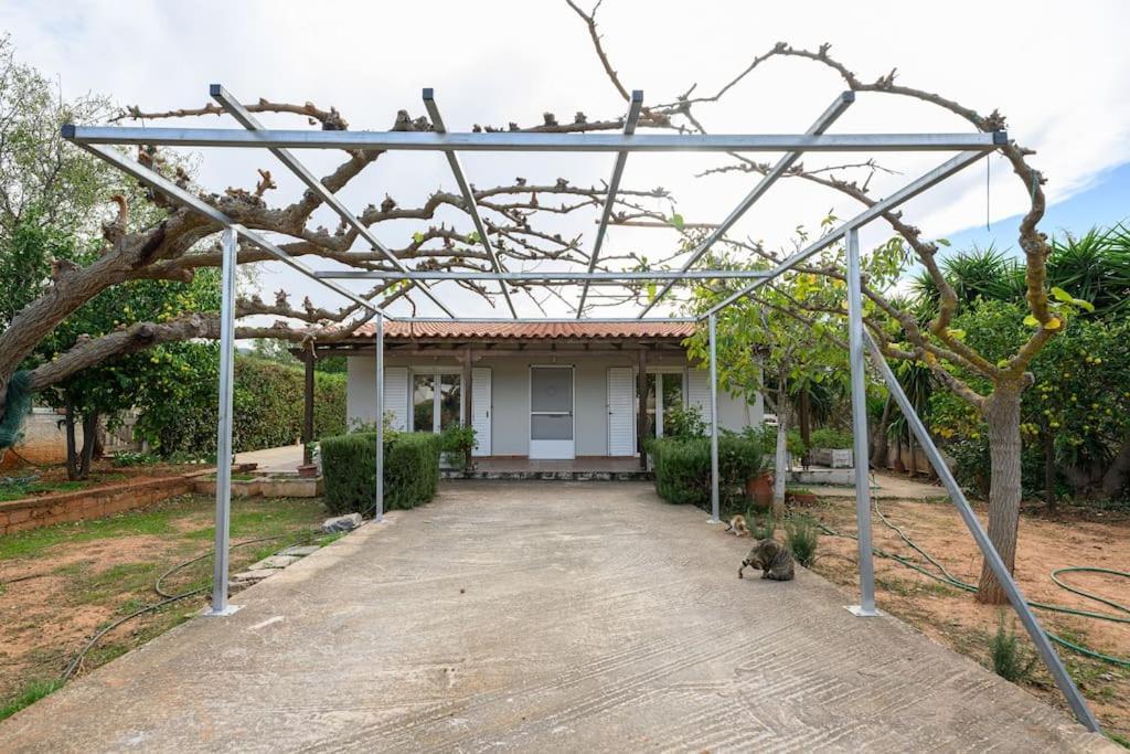Villa Farmbill Markópoulon Exterior foto